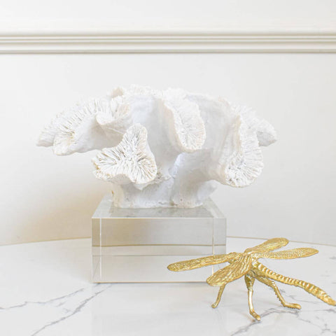 Realistic looking white coral reef sculpture, perfect coastal vibe for display or as a paper weight. 