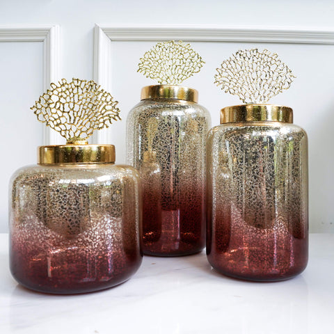 Richesse Gold Reef Sculpture Jar Canister, 3 sizes on display at Finn Avenue Showroom.