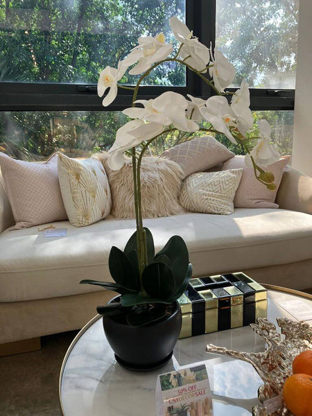 Showroom Items: Decorative Flowers with Pots