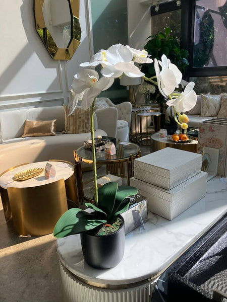 Showroom Items: Decorative Flowers with Pots