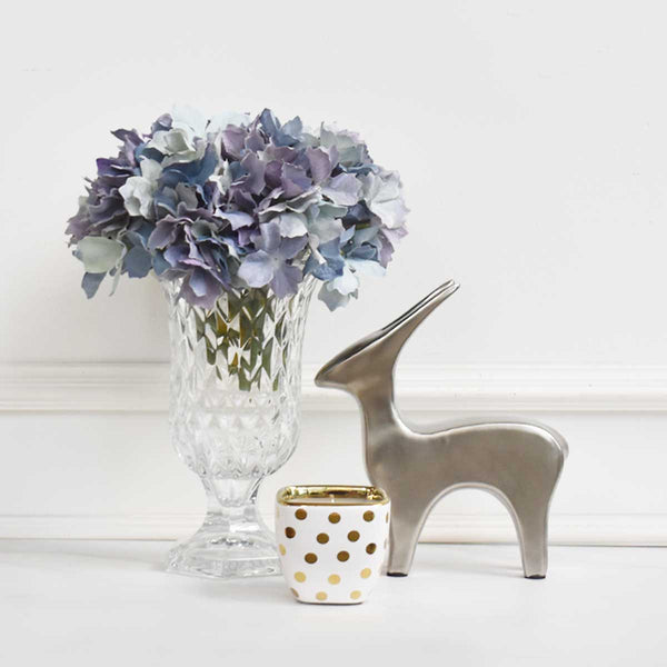 Panicle Indigo-Blue Hydrangea, Decorative