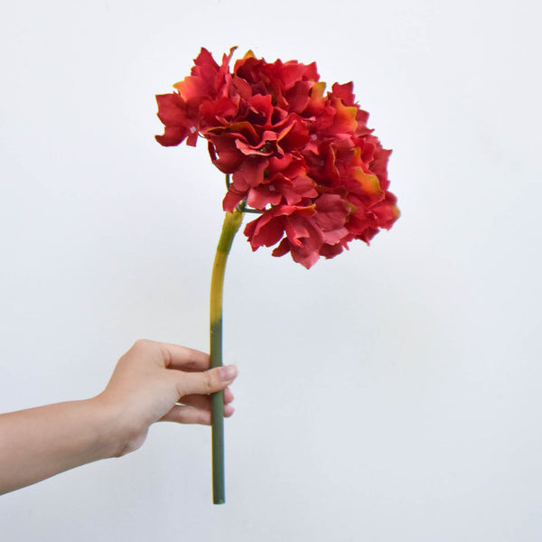 Side view of the Panicle hydrangea, bend and fold them to however you need, versatile and flexible flower stalks.