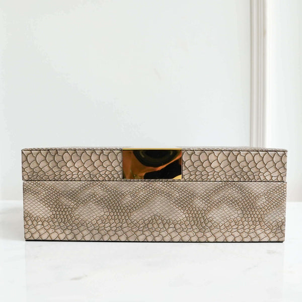 Snakeskin leather box with gold stripe top for coffee table decor ideas.