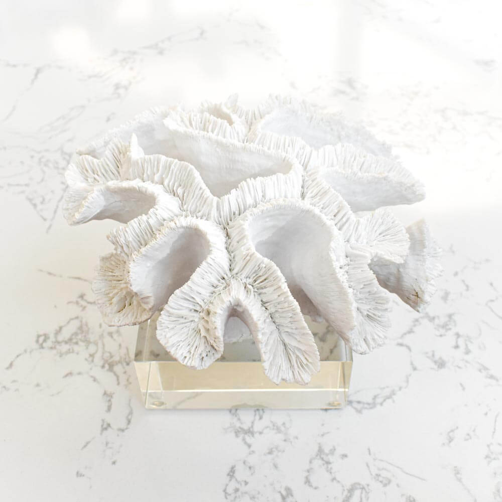 La Mer IV White Coral Sculpture Decor – FINN AVENUE