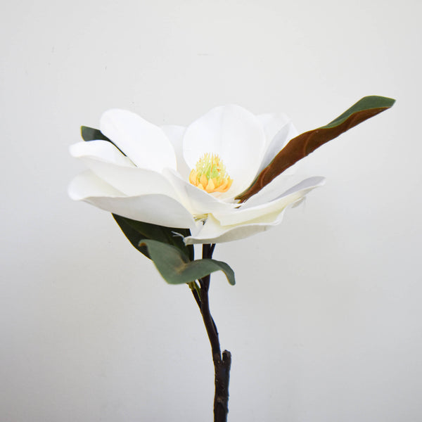  Bloomed in large white petals, this faux blossom works best in charming cascades for a glowing iridescence.