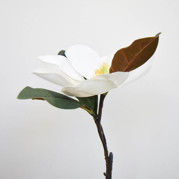 Add a few stalks of Magnolia flowers in your vase to create a magnificent display for your console table decor.
