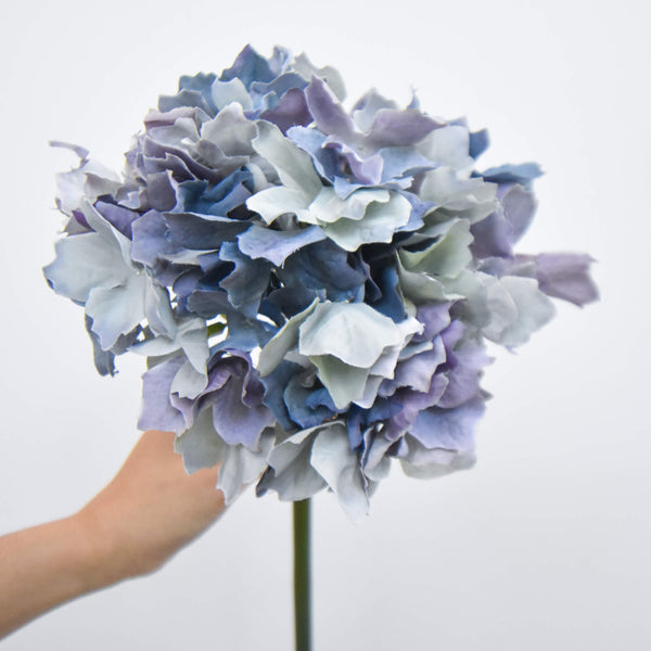 Zoom in look of the Hydrangea petals.