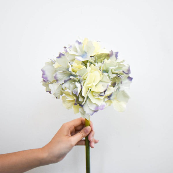 Place a few stalks in a vase to liven up your living space with this Lavender and Cream Hydrangea combination.