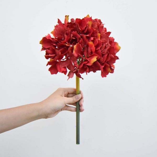 Close look of the petals on the red summer hydrangeas.