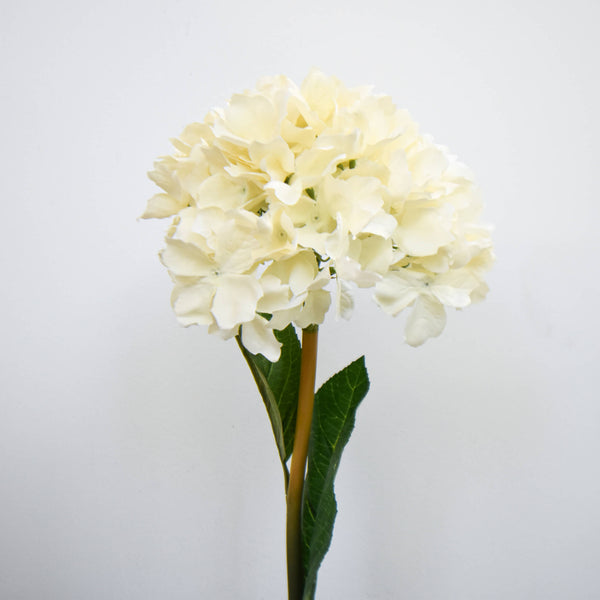 Creamy Ivory hydrangea petals, realistic faux flowers.