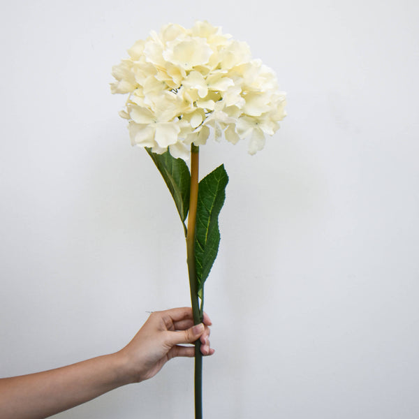 Princess Bloom Hydrangea, long stem stalk, twist and bend as you like to fit in the vase of your choice.