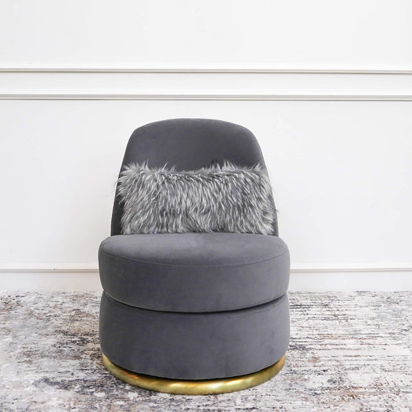 Art Decor Chair in Modern Home Interior Design with Boudoir Cushion.